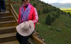 久拍国产在线观看